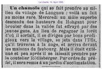 1895 R&ouml;thlisberger, Langnau